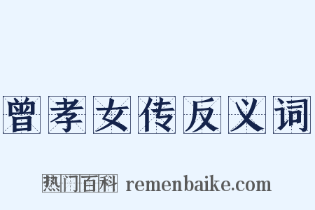 曾孝女传反义词是什么意思的图片